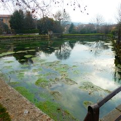 P1170436   Laghetto Squarà.